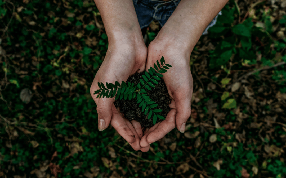 Why I Cried at a Parent Teacher Conference