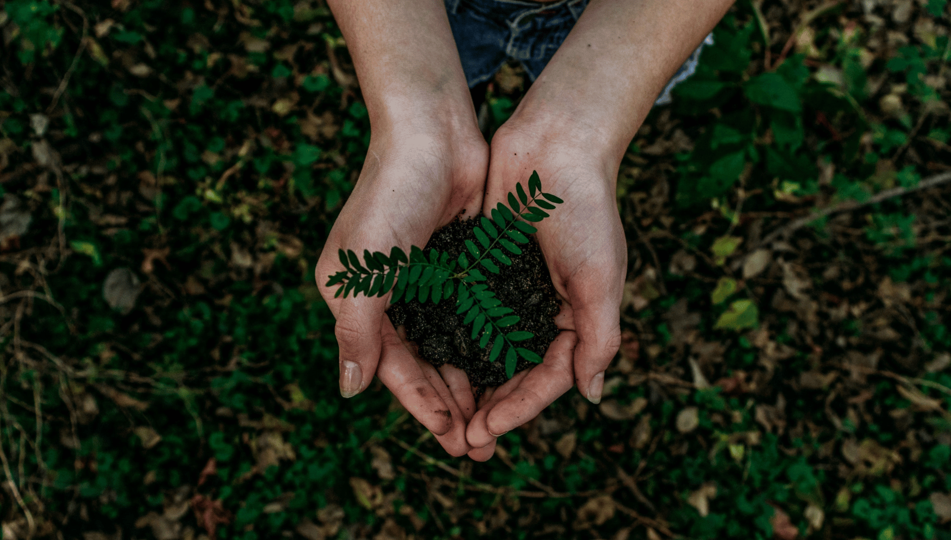 What happens when we parent like we garden?