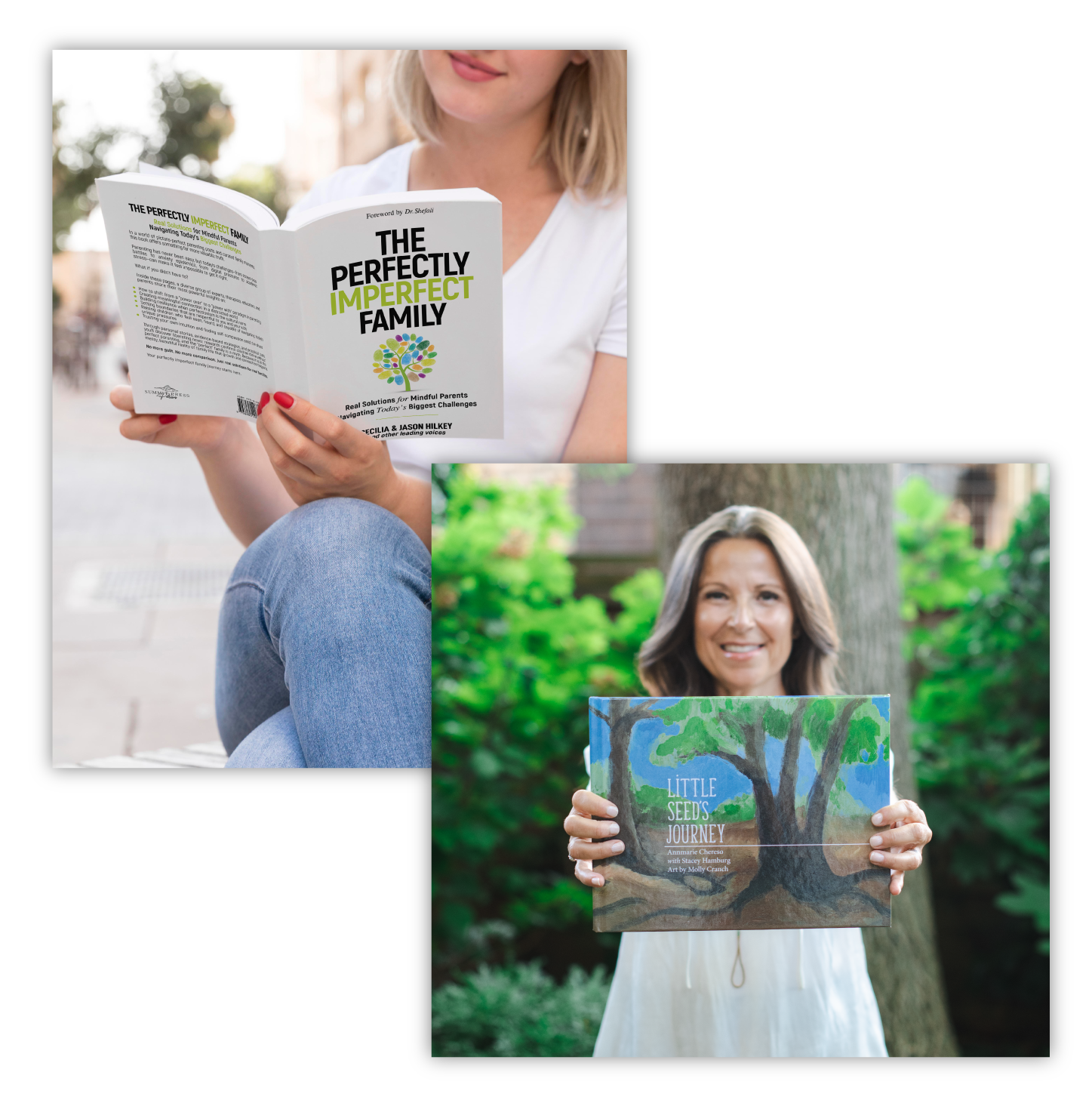 annmarie-chereso-books