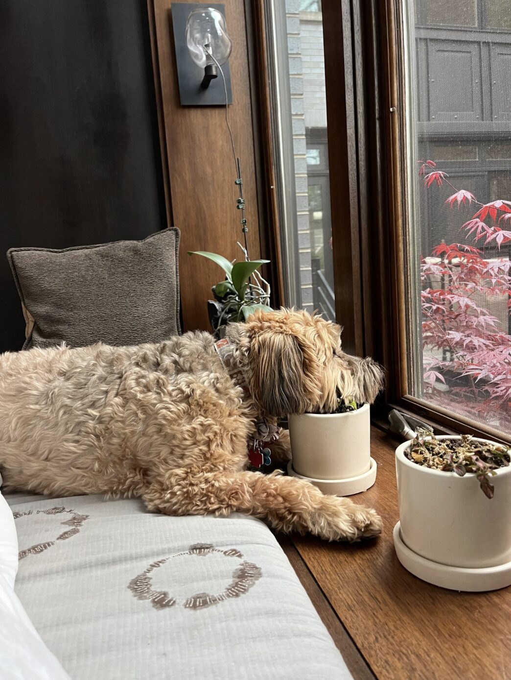 What happens when we parent like we garden?